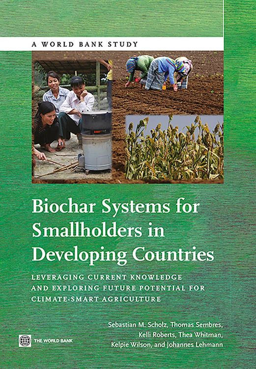 Produktbild: Biochar Systems for Smallholders in Developing Countries