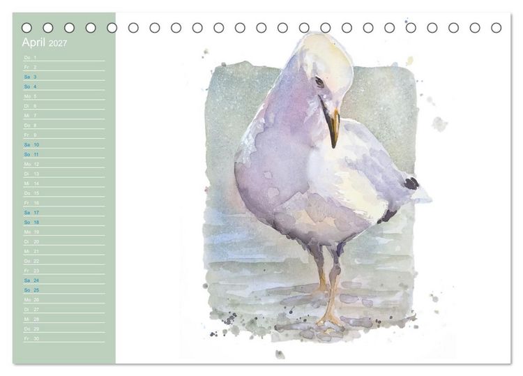 Produktbild: M&ouml;wen - Aquarelle von Julia Pasinski (Tischkalender 2027 DIN A5 quer), CALVENDO Monatskalender