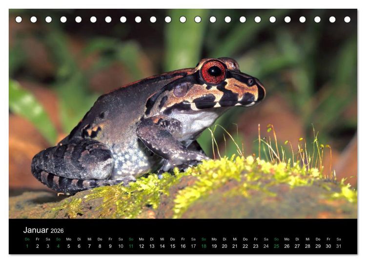 Produktbild: Costa Rica - Faszination Fr&ouml;sche (Tischkalender 2026 DIN A5 quer), CALVENDO Monatskalender