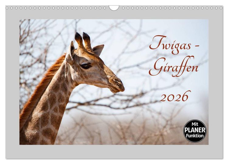 Produktbild: Twigas - Giraffen (Wandkalender 2026 DIN A3 quer), CALVENDO Monatskalender