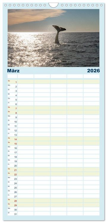 Produktbild: Familienplaner 2026 - Die Wale von Andenes mit 5 Spalten (Wandkalender, 21 x 45 cm) CALVENDO