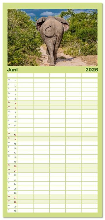 Produktbild: Familienplaner 2026 - Elefanten Begegnungen im &ouml;stlichen und s&uuml;dlichen Afrika mit 5 Spalten (Wandkalender, 21 x 45 cm) CALVENDO