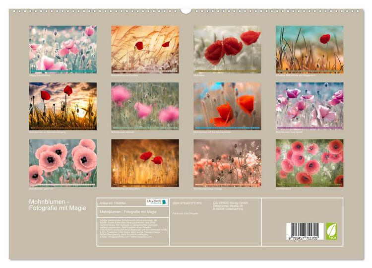Produktbild: Mohnblumen - Fotografie mit Magie (hochwertiger Premium Wandkalender 2026 DIN A2 quer), Kunstdruck in Hochglanz