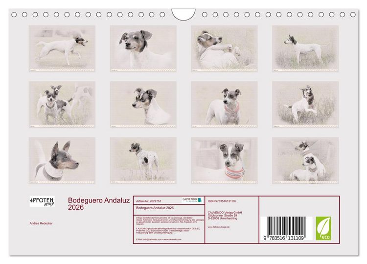Produktbild: Bodeguero Andaluz 2026 (Wandkalender 2026 DIN A4 quer), CALVENDO Monatskalender