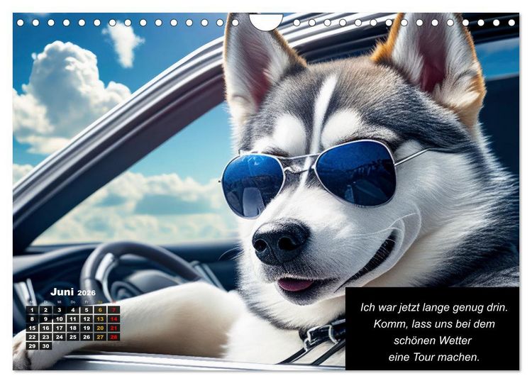 Produktbild: Der tierisch lustige Husky Kalender (Wandkalender 2026 DIN A4 quer), CALVENDO Monatskalender