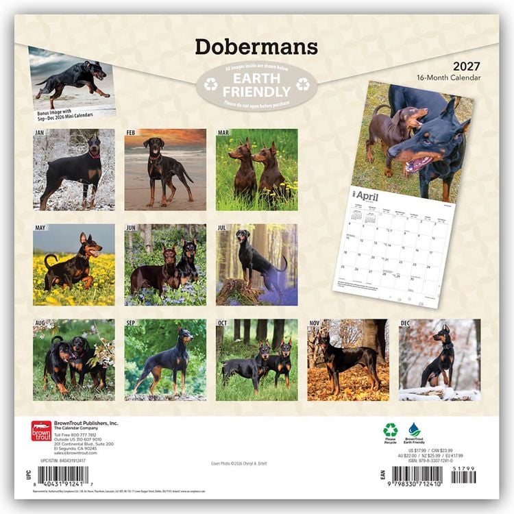 Produktbild: Dobermans &ndash; Dobermann 2027 &ndash; 16-Monatskalender
