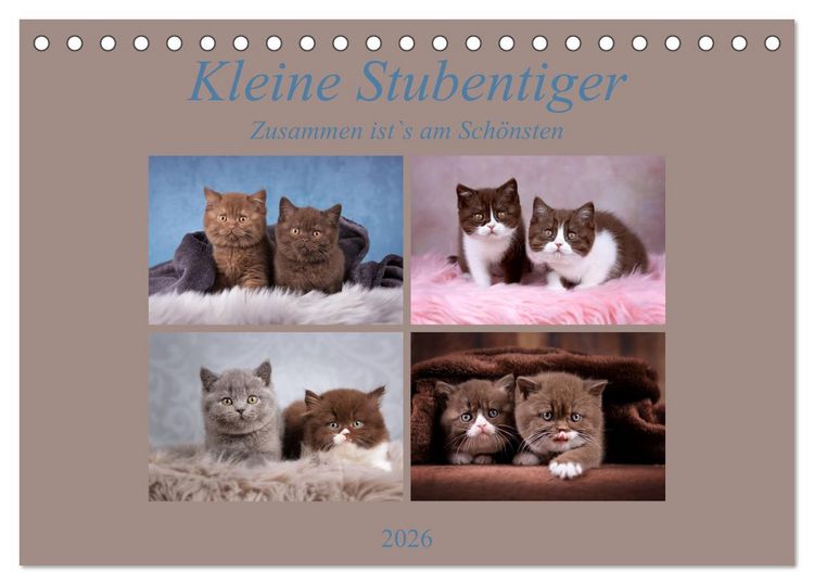 Produktbild: Kleine Stubenstiger (Tischkalender 2026 DIN A5 quer), CALVENDO Monatskalender