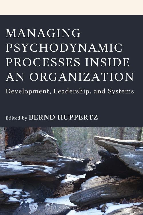 Produktbild: Managing Psychodynamic Processes Inside an Organization