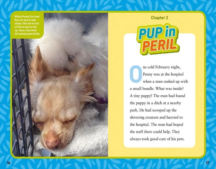 Produktbild: National Geographic Kids Chapters: Together Forever!