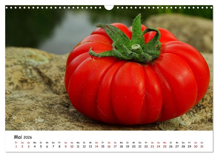 Produktbild: Tomaten Satt (Wandkalender 2026 DIN A3 quer), CALVENDO Monatskalender