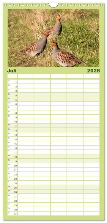 Produktbild: Familienplaner 2026 - Deutsches Jagdwild - Waidmannsheil mit 5 Spalten (Wandkalender, 21 x 45 cm) CALVENDO