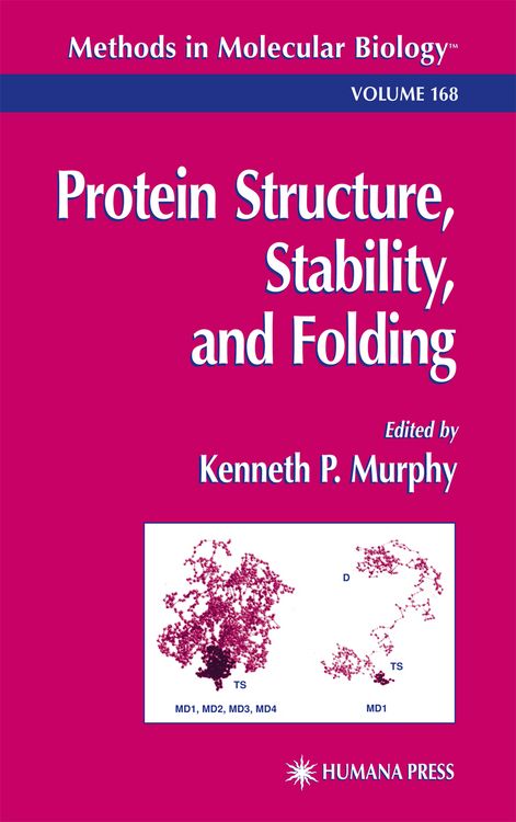 Produktbild: Protein Structure, Stability, and Folding