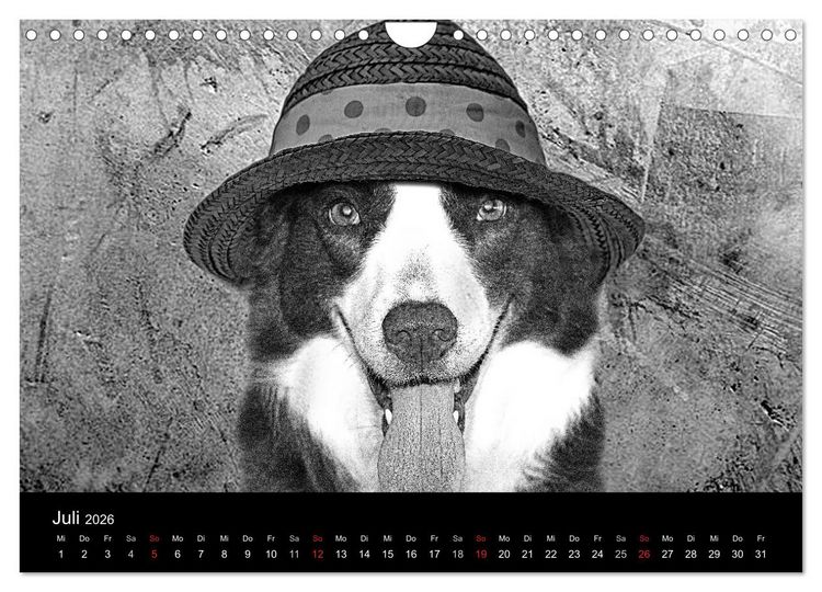 Produktbild: H&uuml;tehunde (Wandkalender 2026 DIN A4 quer), CALVENDO Monatskalender