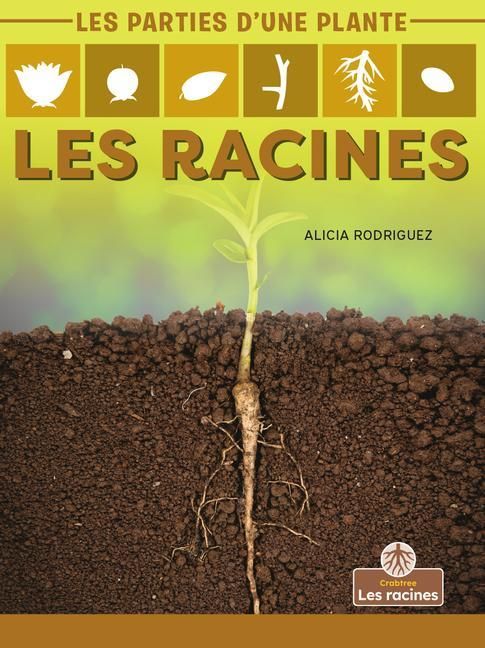 Produktbild: Les Racines (Roots)