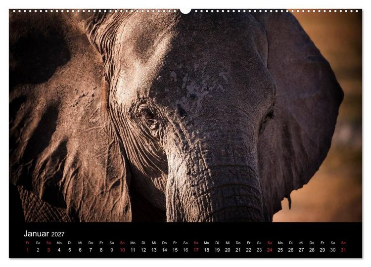 Produktbild: Elefanten - Die sanften Riesen Afrikas (Wandkalender 2027 DIN A2 quer), CALVENDO Monatskalender