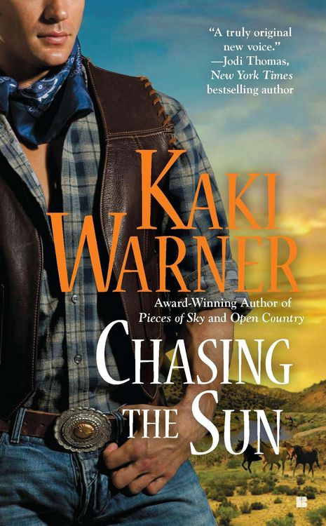 Produktbild: Chasing The Sun