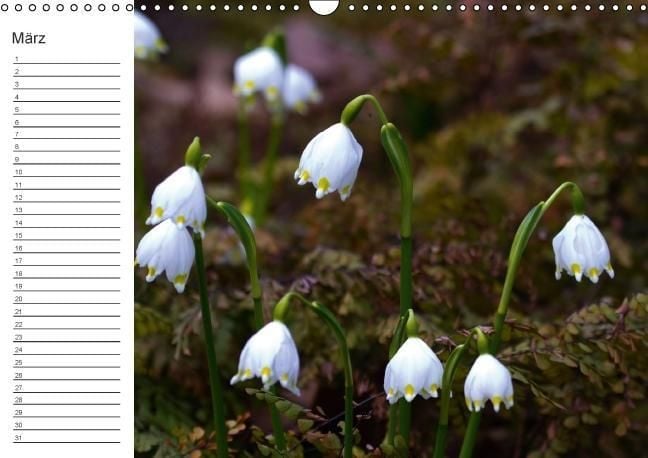 Produktbild: Ich denk an Dich ... Pers&ouml;nlicher Terminkalender (Wandkalender immerw&auml;hrend DIN A3 quer)