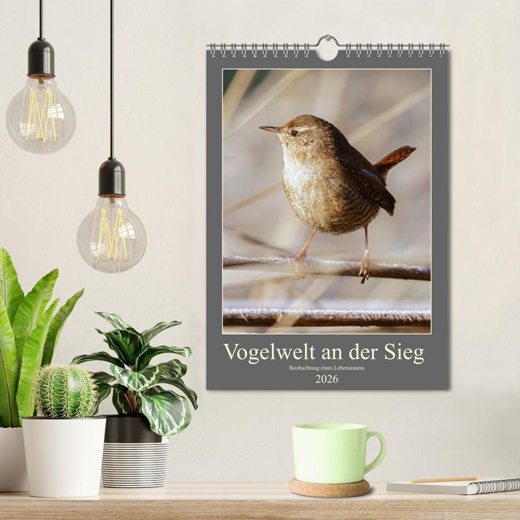 Produktbild: Vogelwelt an der Sieg (Wandkalender 2026 DIN A4 hoch), CALVENDO Monatskalender