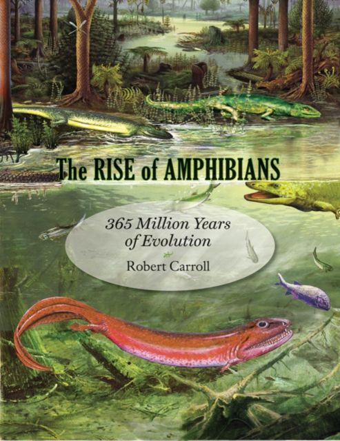 Produktbild: The Rise of Amphibians