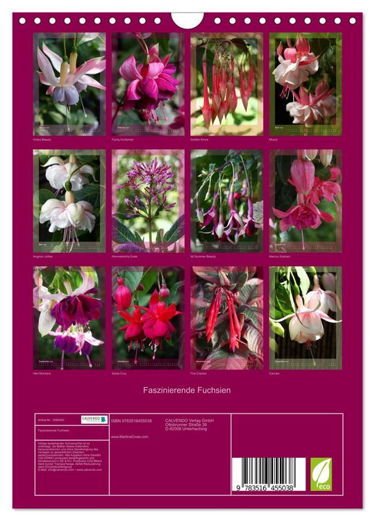 Produktbild: Faszinierende Fuchsien (Wandkalender 2026 DIN A4 hoch), CALVENDO Monatskalender