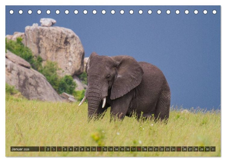 Produktbild: Abenteuer Tansania, Afrika (Tischkalender 2026 DIN A5 quer), CALVENDO Monatskalender