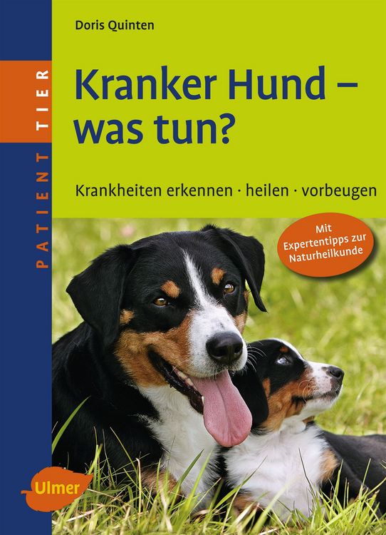 Produktbild: Kranker Hund - was tun?
