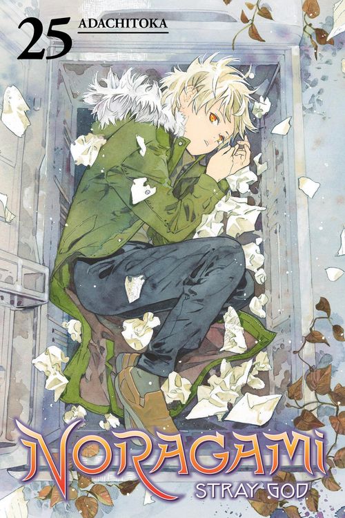 Produktbild: Noragami: Stray God 25