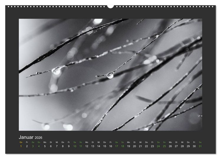 Produktbild: Pflanzen in Schwarz und Wei&szlig; (hochwertiger Premium Wandkalender 2026 DIN A2 quer), Kunstdruck in Hochglanz