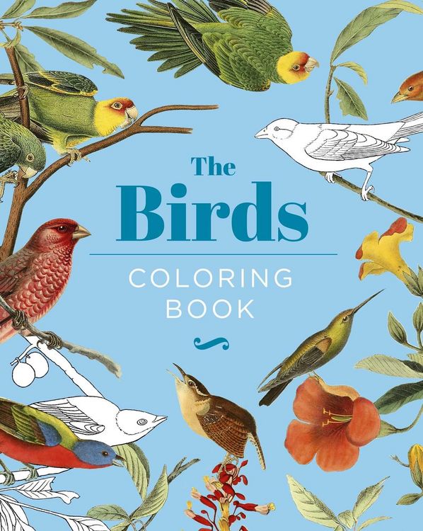 Produktbild: The Birds Coloring Book
