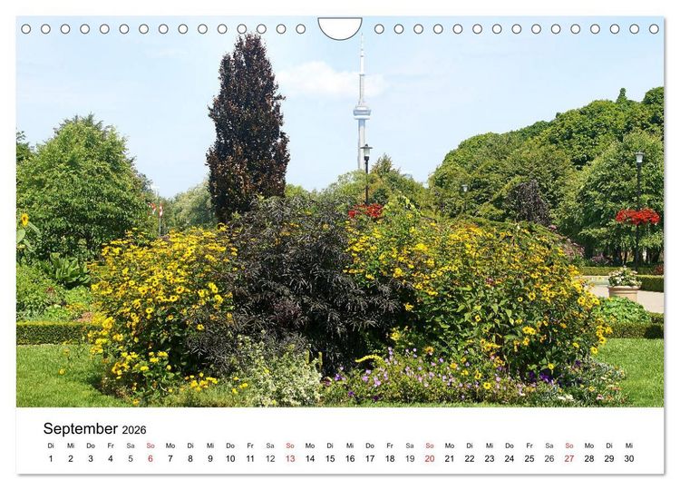 Produktbild: Ontario - Der S&uuml;den (Wandkalender 2026 DIN A4 quer), CALVENDO Monatskalender