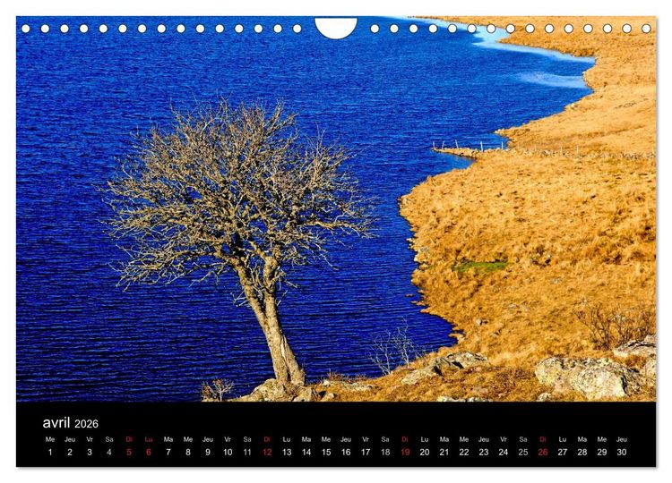 Produktbild: AUBRAC (Calendrier mural 2026 DIN A4 vertical), CALVENDO calendrier mensuel