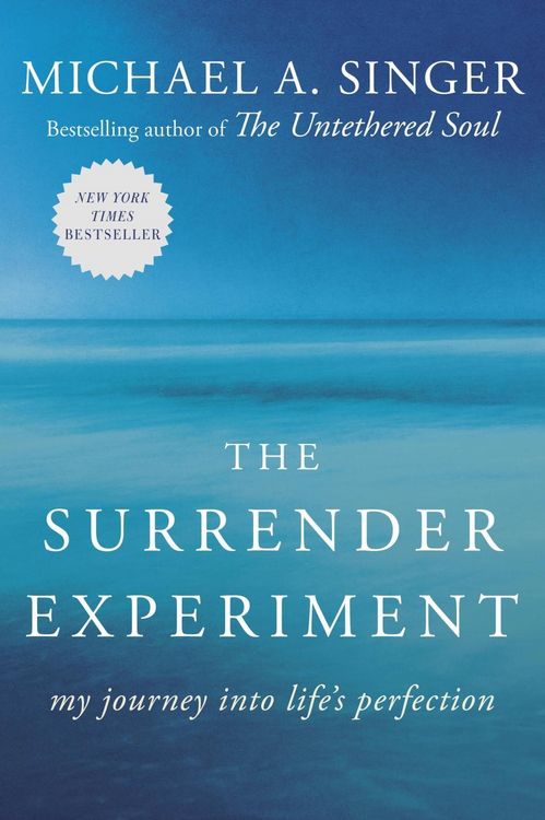 Produktbild: The Surrender Experiment