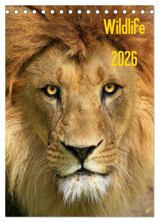 Produktbild: Wildlife 2026 (Tischkalender 2026 DIN A5 hoch), CALVENDO Monatskalender