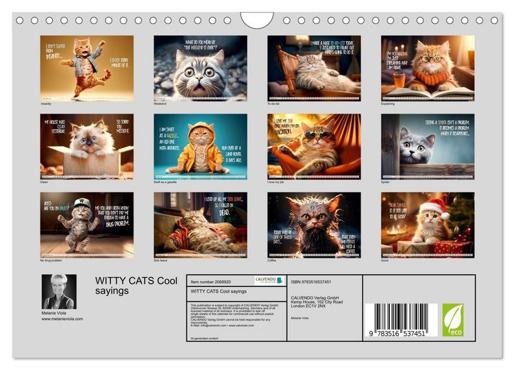 Produktbild: WITTY CATS Cool sayings (Wall Calendar 2026 DIN A4 landscape), CALVENDO 12 Month Wall Calendar