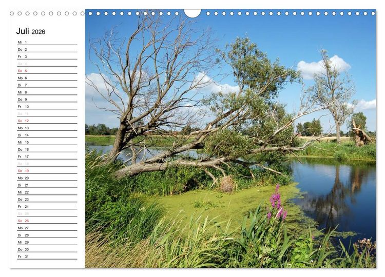 Produktbild: Vier Jahreszeiten im Land Brandenburg (Wandkalender 2026 DIN A3 quer), CALVENDO Monatskalender