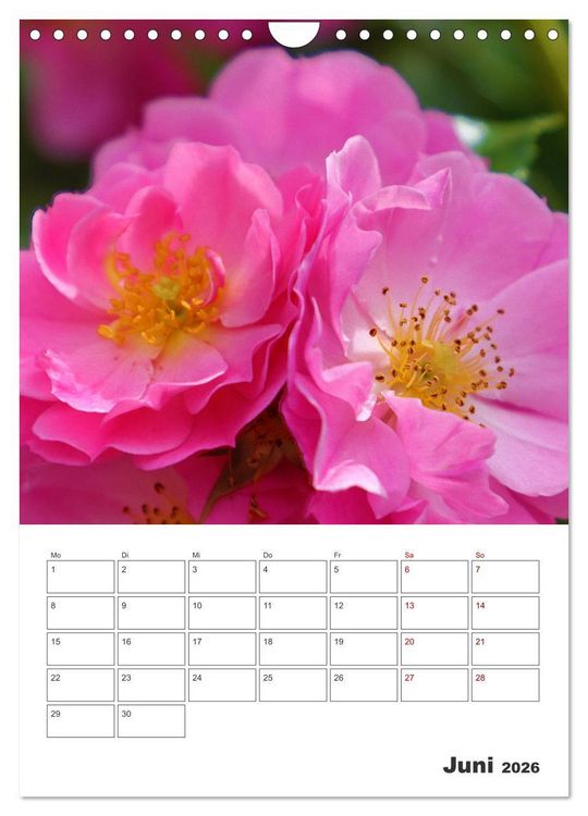 Produktbild: BL&Uuml;TENZAUBER (Wandkalender 2026 DIN A4 hoch), CALVENDO Monatskalender
