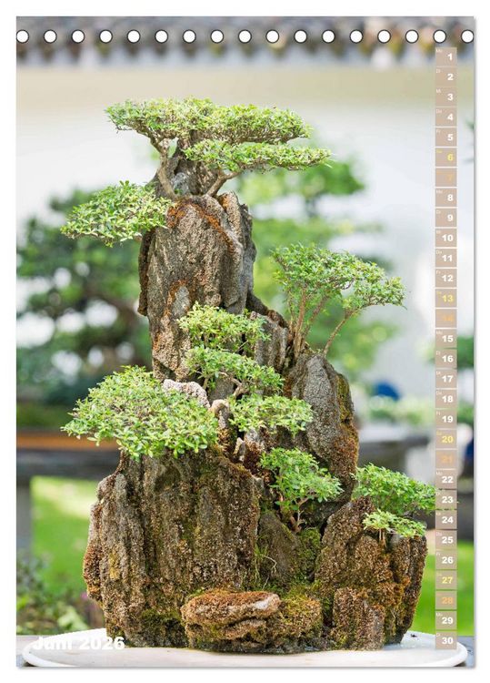 Produktbild: Bonsai: Gartenkunst im Kleinen (Tischkalender 2026 DIN A5 hoch), CALVENDO Monatskalender