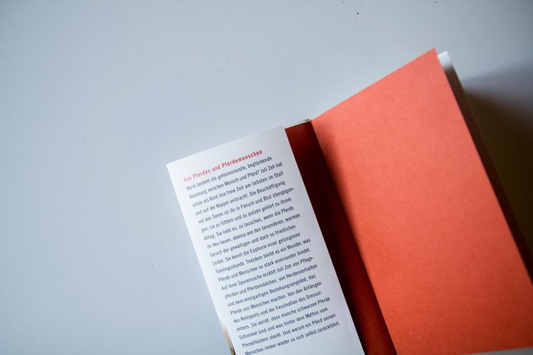 Produktbild: Gebrauchsanweisung f&uuml;r Pferde