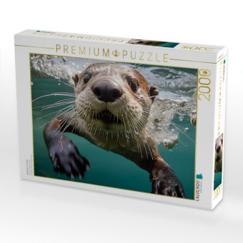 Produktbild: CALVENDO Puzzle Niedlicher Fischotter | 2000 Teile Lege-Gr&ouml;&szlig;e 90x67cm Foto-Puzzle f&uuml;r gl&uuml;ckliche Stunden