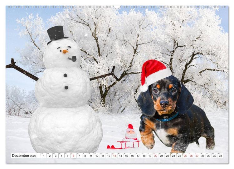 Produktbild: Dackeltr&auml;umereien - Kleine Helden auf 4 Pfoten (hochwertiger Premium Wandkalender 2026 DIN A2 quer), Kunstdruck in Hochglanz