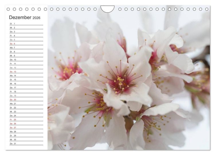 Produktbild: Emotionale Momente: Mandeln (Wandkalender 2026 DIN A4 quer), CALVENDO Monatskalender