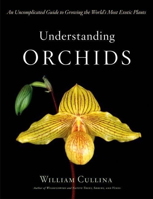 Produktbild: Understanding Orchids