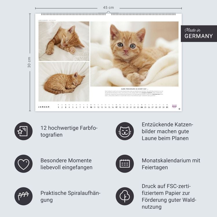 Produktbild: Whiskas Katzenkalender 2027