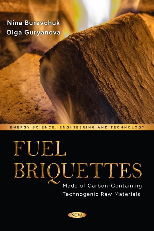 Produktbild: Fuel Briquettes Made of Carbon-Containing Technogenic Raw Materials