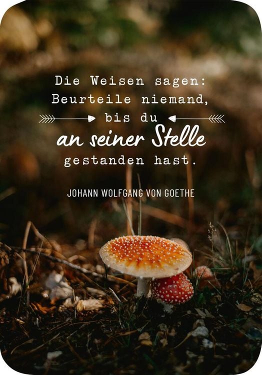 Produktbild: Weisheiten f&uuml;r die Seele