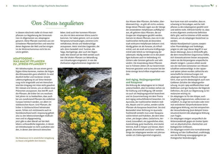 Produktbild: Mit Naturheilkunde Stress bew&auml;ltigen