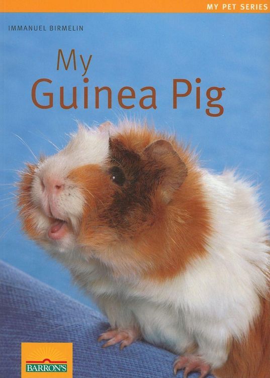 Produktbild: My Guinea Pig