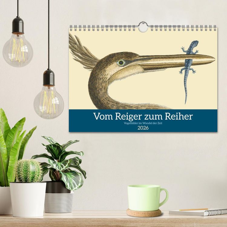 Produktbild: Vom Reiger zum Reiher (Wandkalender 2026 DIN A4 quer), CALVENDO Monatskalender