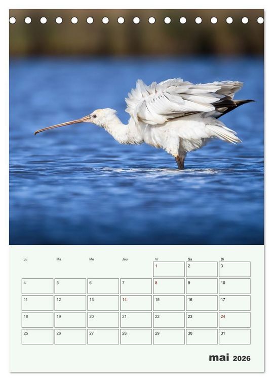 Produktbild: Le monde intime des oiseaux (Calendrier de bureau 2026 DIN A5 horizontal), CALVENDO calendrier mensuel