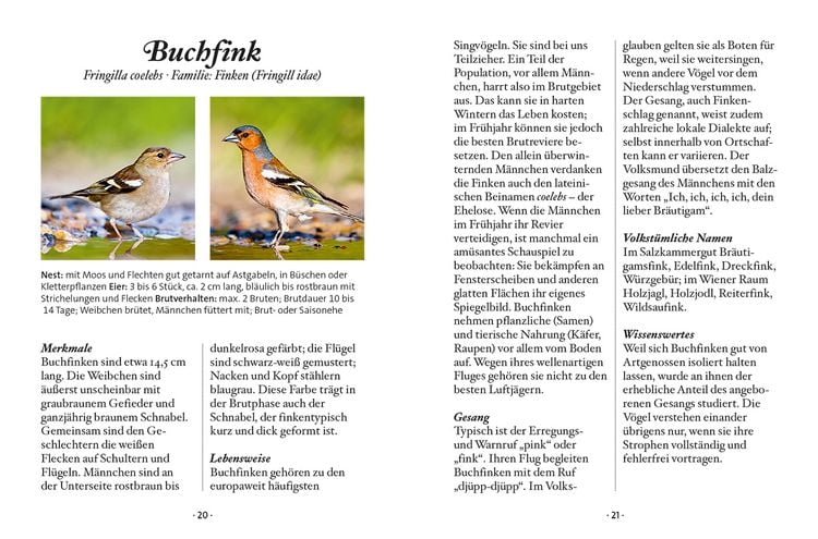 Produktbild: Das kleine Buch: Singv&ouml;gel